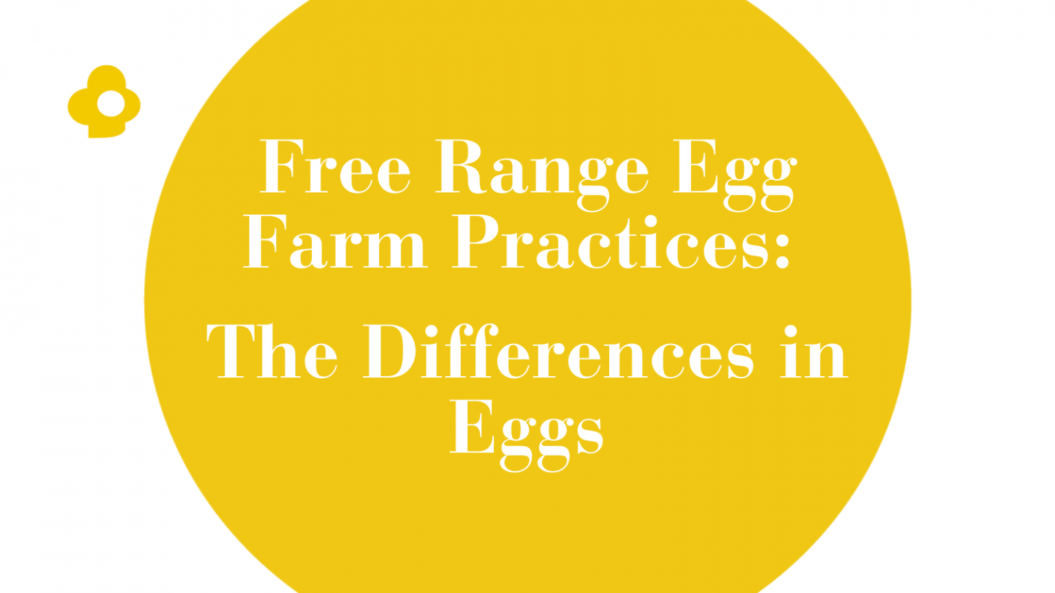 Free Range Egg Farm Practices The Differences in Eggs Eggzi